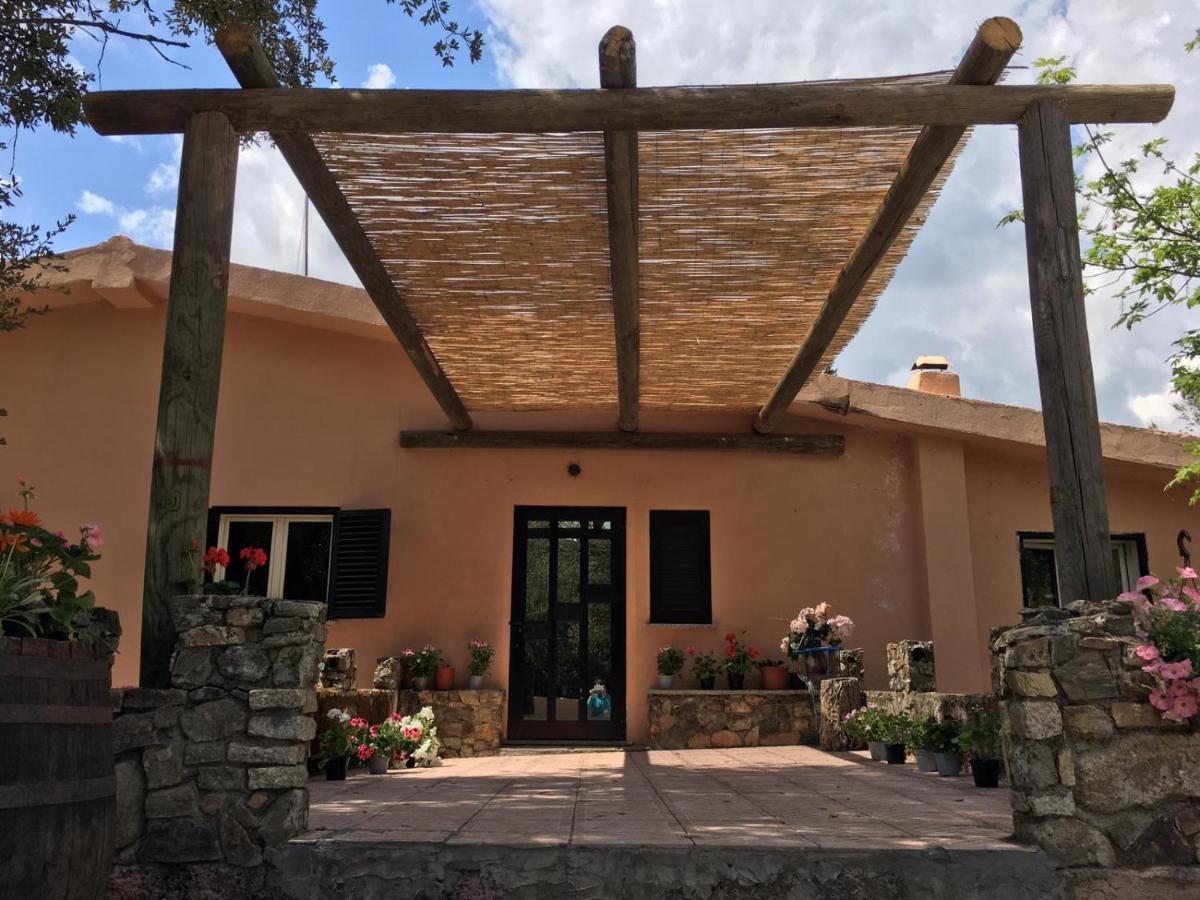 Azienda Agrituristica S'Argalasi - B&B - Affittacamere Loc S'Argalasi Austis エクステリア 写真