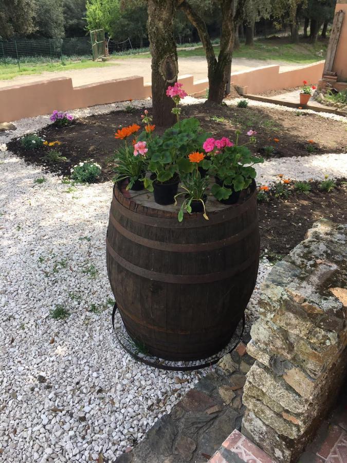 Azienda Agrituristica S'Argalasi - B&B - Affittacamere Loc S'Argalasi Austis エクステリア 写真