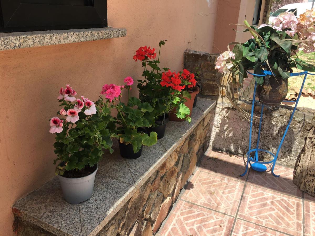 Azienda Agrituristica S'Argalasi - B&B - Affittacamere Loc S'Argalasi Austis エクステリア 写真