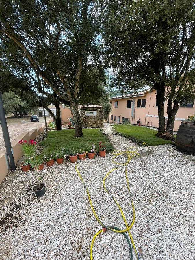 Azienda Agrituristica S'Argalasi - B&B - Affittacamere Loc S'Argalasi Austis エクステリア 写真